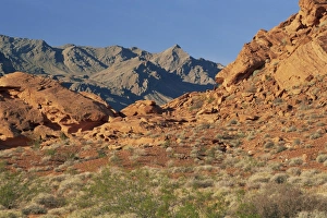 Red sandstone rocks
