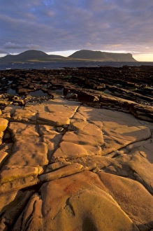 Orkney Prints: Red sandstone shore
