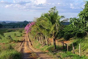 Country Road Prints: Red soil road, Serra da Canastra landscape, Minas Gerais state, Brazil, South America