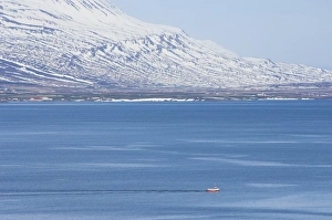 Trawler Prints: Red trawler in Eyjafjordur near Akureyri