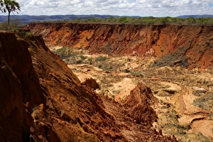 Rock Cliffs Prints: In the red tsingy area, close to Diego Suarez bay, Northern Madagascar, Africa