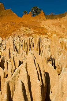 Images Dated 30th August 2008: Red Tsingys, strange looking sandstone formations, near Diego Suare (Antsiranana)