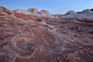 Outcrop Prints: Red and white sandstone swirls at dawn, White Pocket, Vermilion Cliffs National Monument