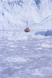 Ilulissat Prints: Red wooden boat crossing the ice in front of the Eqi Glacier