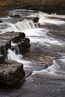 Wensleydale Prints: Redmire Force on the River Ure