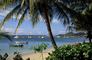 Images Dated 17th January 2000: Reduit Beach, Rodney Bay, St