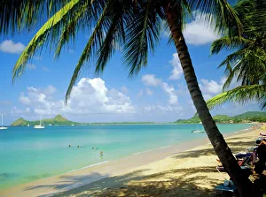 Images Dated 5th September 2008: Reduit Beach, St