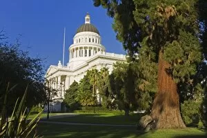 Images Dated 27th September 2009: Redwood tree and the State Capitol Building, Sacramento, California, United States of America