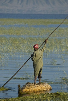 Images Dated 19th December 2007: Reed boat on Awasa Lake, Rift Valley region, Ethiopia, Africa