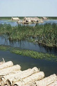 Marshes Prints: Reed mats ready for sale
