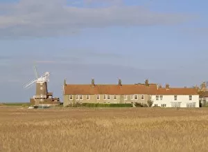 Mill Collection: Reedbeds and Cley windmill, 18th century tower windmill on old quay, Cley-next-the-Sea