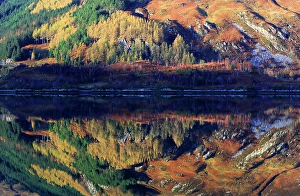 Mirror Prints: Reflection detail, Glenshiel, Highlands, Scotland, United Kingdom