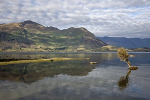 Otago Prints: Reflection in Lake Wanaka, Wanaka, Otago, South Island, New Zealand, Pacific
