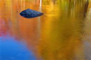 Reflections in autumn