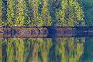 Tranquil Setting Prints: Reflections in the calm waters of Jackson Pass Provincial Marine Park