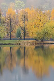 Vltava Prints: Reflections of colorful trees on Shooters Island (Strelecky ostrov) on Vltava River in autumn