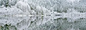 Panorama Prints: Reflections on Loch Chon in winter, Aberfoyle, Stirling, The Trossachs, Scotland