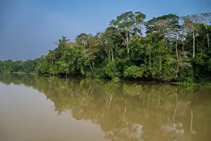 Sangha Prints: Reflections in the Sangha River