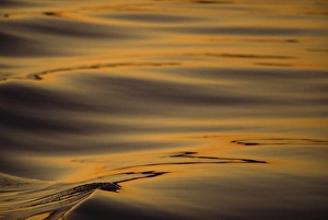 Polar Region Prints: Reflections of sunset light in winter at Glowing, Tysfjord, Arctic Waters, Polar Regions