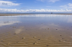Images Dated 1st May 2008: Reflections in the tidal seawater pools of the long sweeping beach of Llanbedrog