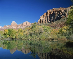 Reflections of trees in fall colours and cliffs of Zion