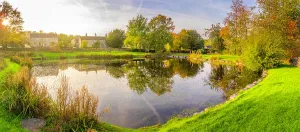 District Prints: Reflections in the village pond during autumn in Monyash village