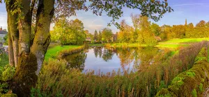 Stillness Prints: Reflections in village pond during autumn in Monyash village
