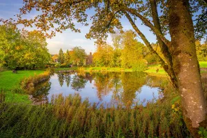 Small Prints: Reflections in the village pond of Monyash during autumn in Derbyshire Peak District