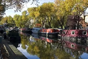 Images Dated 26th October 2009: Regents Canal at Little Venice, London, England, United Kingdom, Europe