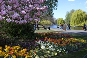 Images Dated 4th April 2009: Regents Park, London, England, United Kingdom, Europe