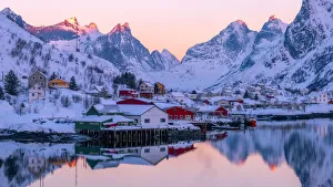 Moskenesoya Prints: Reine fishing village in winter, Reinefjord, Moskenesoya, Lofoten Islands, Arctic