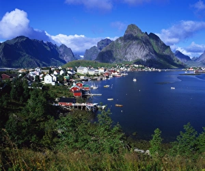 Traditionally Norwegian Prints: Reine Town, Moskenesoy, Lofoten, Norway