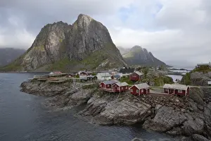 Reine Prints: Reine village with typical red rorbuer and cod drying flakes, Moskenesoy island
