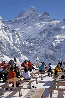 Images Dated 13th March 2009: Relaxing outside a mountain restaurant in front of the peaks of the Schreckhorn mountain