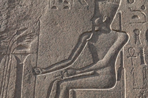 Images Dated 15th April 2008: Relief carving in the ancient Egyptian Philae Temple, UNESCO World Heritage Site, Aswan, Egypt