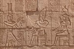 Images Dated 7th April 2009: Relief carving in the ancient Egyptian Philae Temple, UNESCO World Heritage Site, Aswan, Egypt