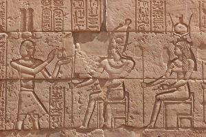 Images Dated 7th April 2009: Relief carving in the ancient Egyptian Philae Temple, UNESCO World Heritage Site, Aswan, Egypt