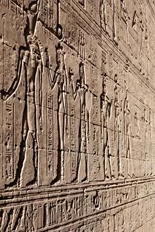 Search Results: Relief carving in the ancient Egyptian Temple of Edfu, Egypt, North Africa, Africa