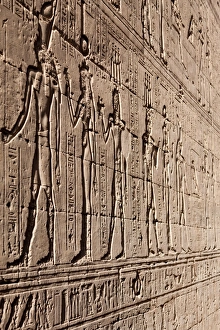 Search Results: Relief carving in the ancient Egyptian Temple of Edfu, Egypt, North Africa, Africa