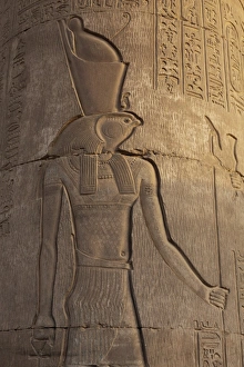 Images Dated 7th April 2008: Relief carving in the ancient Egyptian Temple of Kom Ombo near Aswan, Egypt, North Africa, Africa