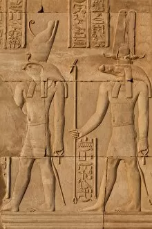 Search Results: Relief carving in the ancient Egyptian Temple of Kom Ombo near Aswan, Egypt, North Africa, Africa