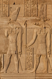 Images Dated 7th April 2008: Relief carving in the ancient Egyptian Temple of Kom Ombo near Aswan, Egypt, North Africa, Africa