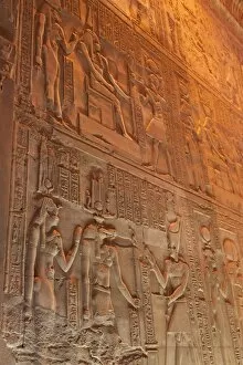Images Dated 7th April 2008: Relief carving in the ancient Egyptian Temple of Kom Ombo near Aswan, Egypt, North Africa, Africa