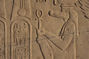 Crocodile Prints: Detail of relief carving of the crocodile god, Kom Ombo, Egypt, North Africa, Africa