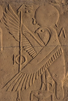 Relief Prints: Detail of relief carving of the falcon (hawk) god, Kom Ombo, Egypt, North Africa, Africa