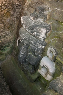 Images Dated 1st April 2009: Relief carving at Northern Acropolis, Mayan archaeological site, Tikal