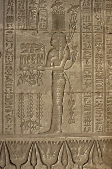 Dendera Prints: Relief carving of offerings being made, Temple of Hathor, Dendera, Egypt
