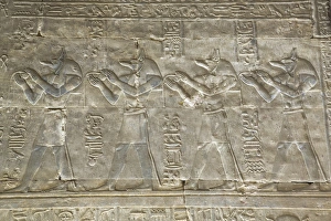 Temple Of Horus Prints: Relief depicting the God Anubis, Temple of Horus, Edfu, Egypt, North Africa, Africa