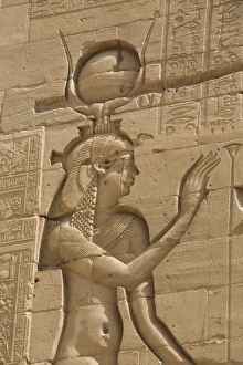Inscription Prints: Relief depicting the Goddess Hathor, Second Pylon, Temple of Isis, Island of Philae