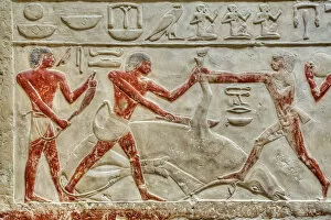 Closeup Gallery: Reliefs, Mastaba of Idut, Step Pyramid Complex, UNESCO World Heritage Site